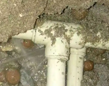 周至测漏水多少钱