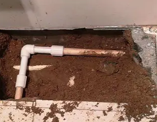 周至测漏水哪家好