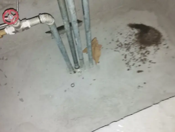 周至卫生间测漏水价格明细