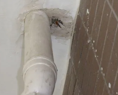 周至漏水检测哪家好